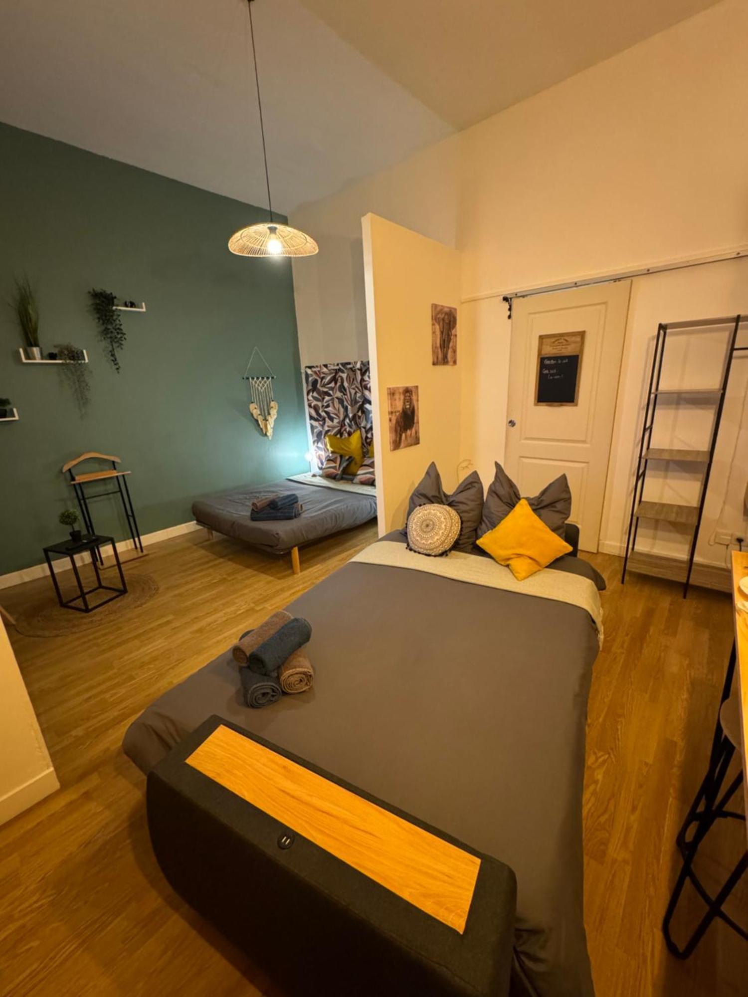Charmant Appartement Climatise Aux Pieds De La Cite Carcassonne Bagian luar foto